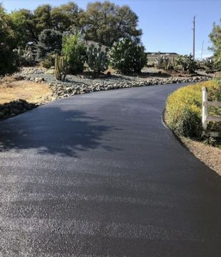 Newly paved curved asphalt driveway beside landscaped trees and shrubs